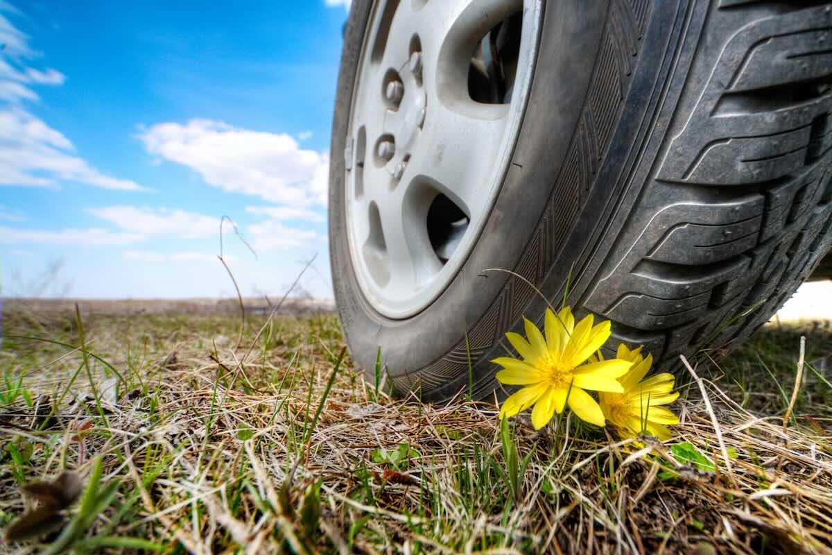 Spring car wheel cleaning
